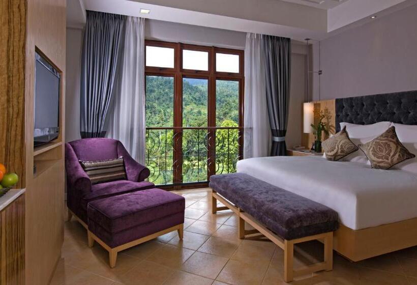 فندق The Chateau Spa & Wellness Resort