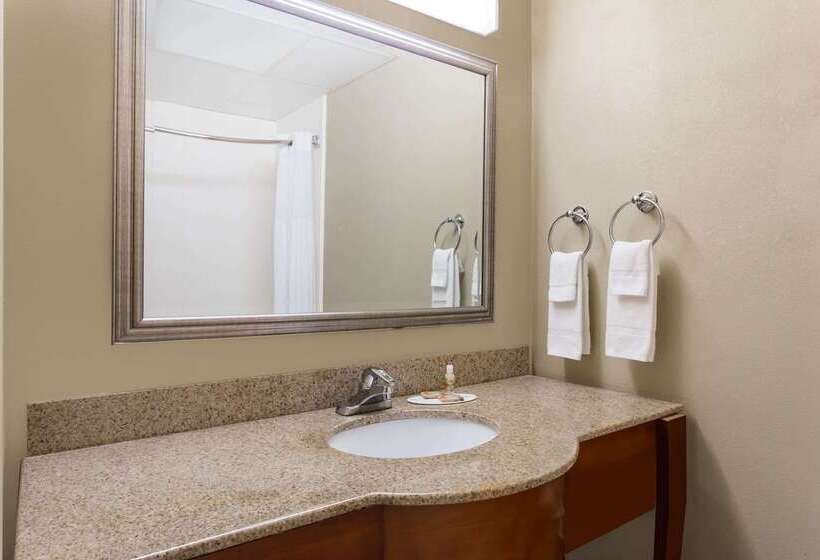 בית מלון כפרי Wingate By Wyndham Savannah Gateway