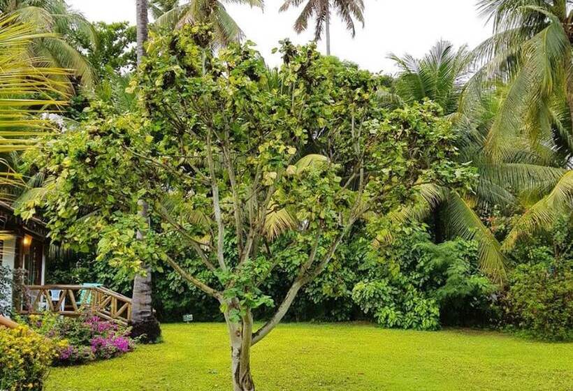 Pousada Praia Dos Carneiros