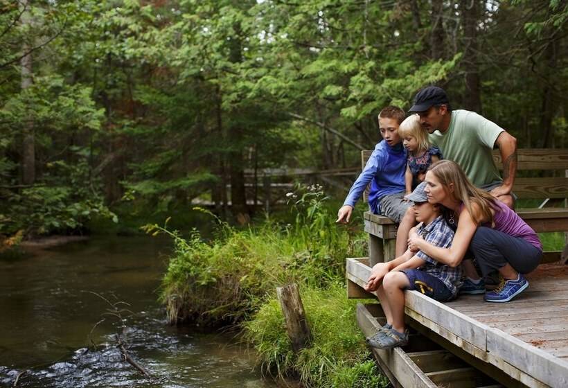 The Lakeview Hotel, Shanty Creek Resort