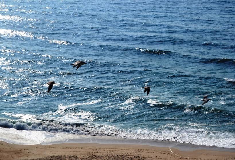 فندق Albergaria Pedra D'ouro