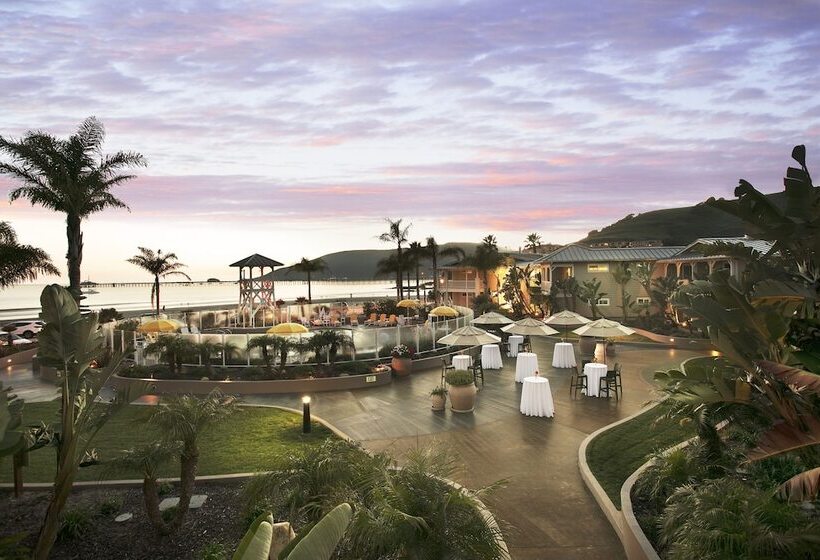 فندق Avila Lighthouse Suites