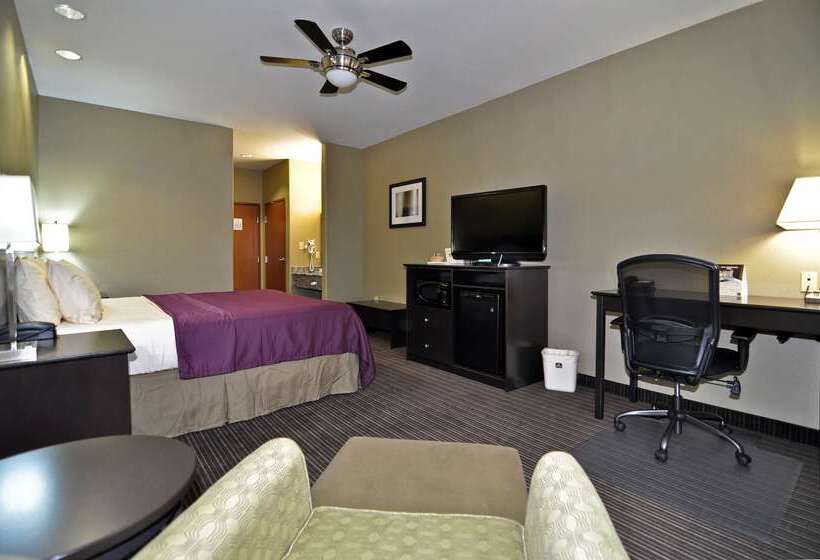 호텔 Best Western Giddings Inn & Suites