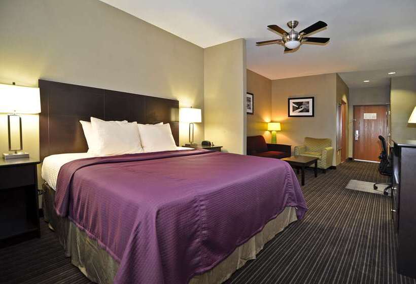 호텔 Best Western Giddings Inn & Suites