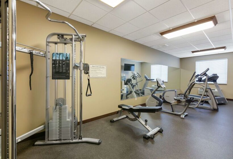 בית מלון כפרי Best Western Golden Prairie Inn And Suites