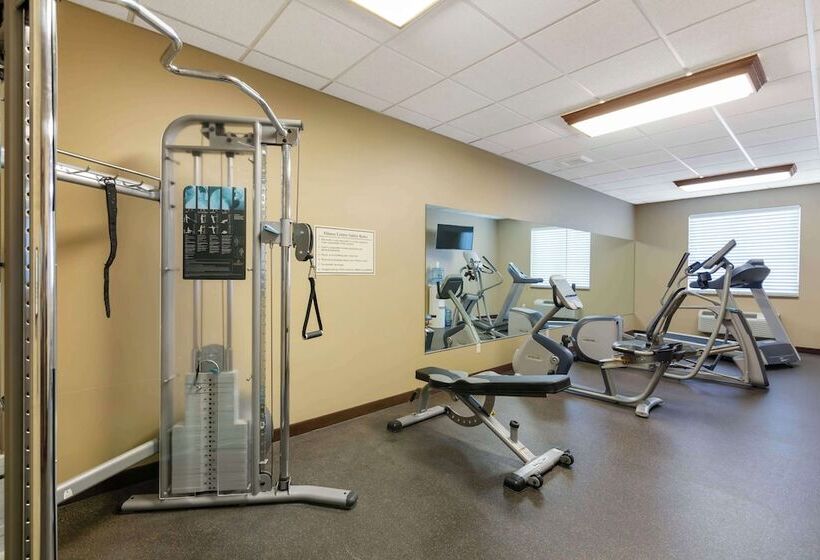 בית מלון כפרי Best Western Golden Prairie Inn And Suites