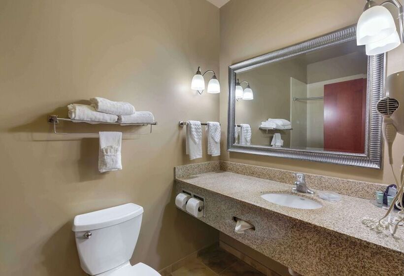 בית מלון כפרי Best Western Golden Prairie Inn And Suites