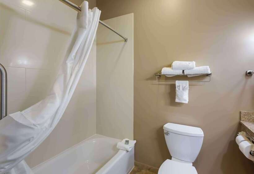 בית מלון כפרי Best Western Golden Prairie Inn And Suites