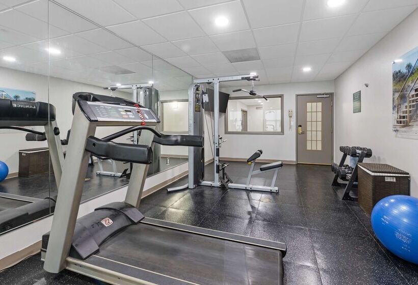 فندق Best Western Plus First Coast Inn And Suites