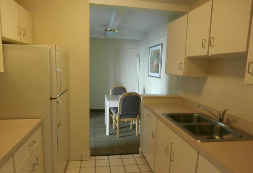 酒店 Clinton Inn & Suites