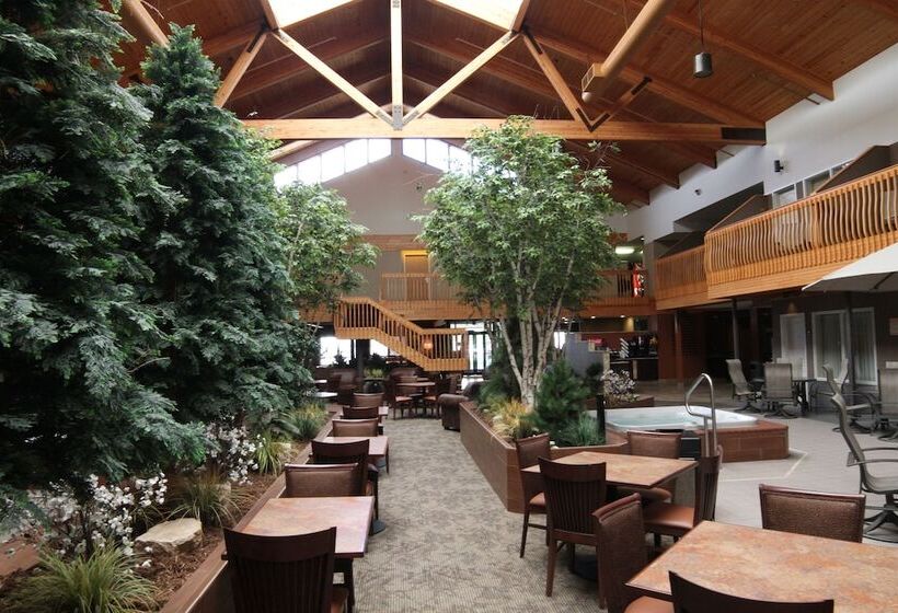 ホテル C'mon Inn & Suites Fargo