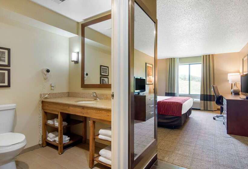 Отель Comfort Inn & Suites Cooperstown Milford