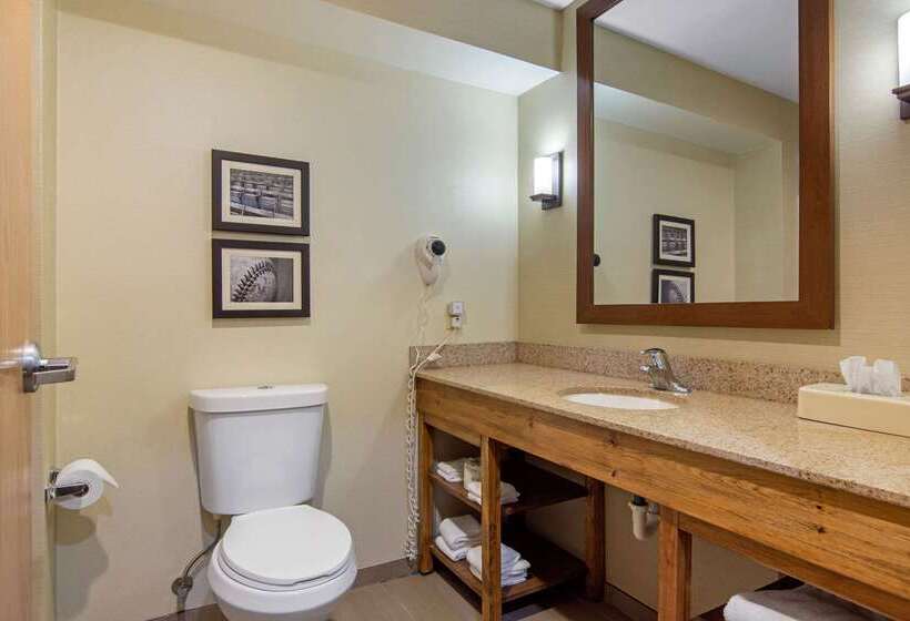 Отель Comfort Inn & Suites Cooperstown Milford