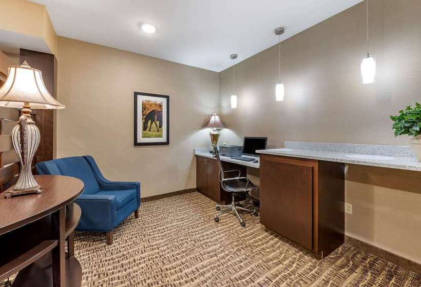 호텔 Comfort Inn & Suites Northern Kentucky