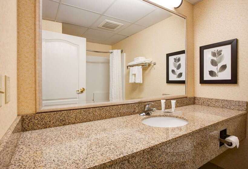 فندق Comfort Inn & Suites St. Paul Northeast