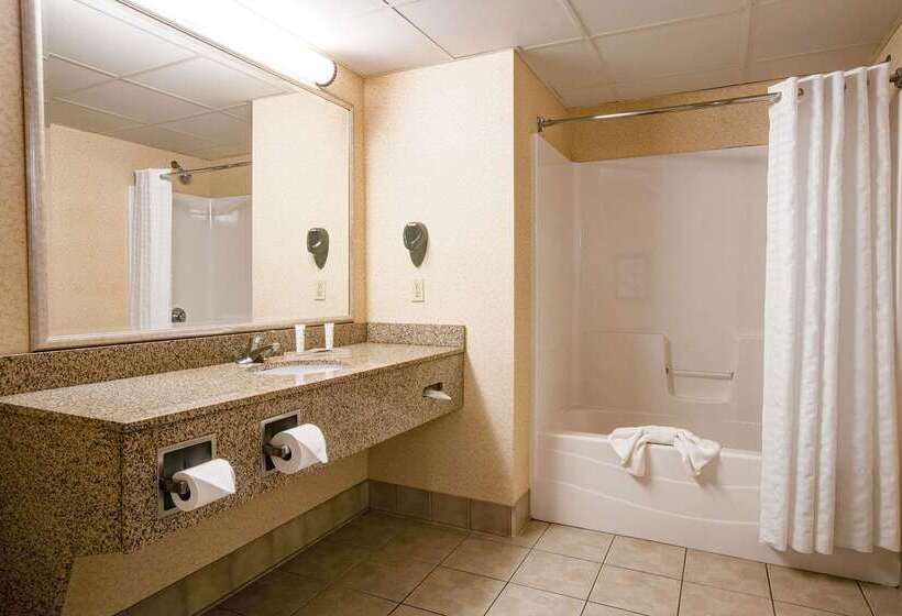 בית מלון כפרי Comfort Inn & Suites St. Paul Northeast