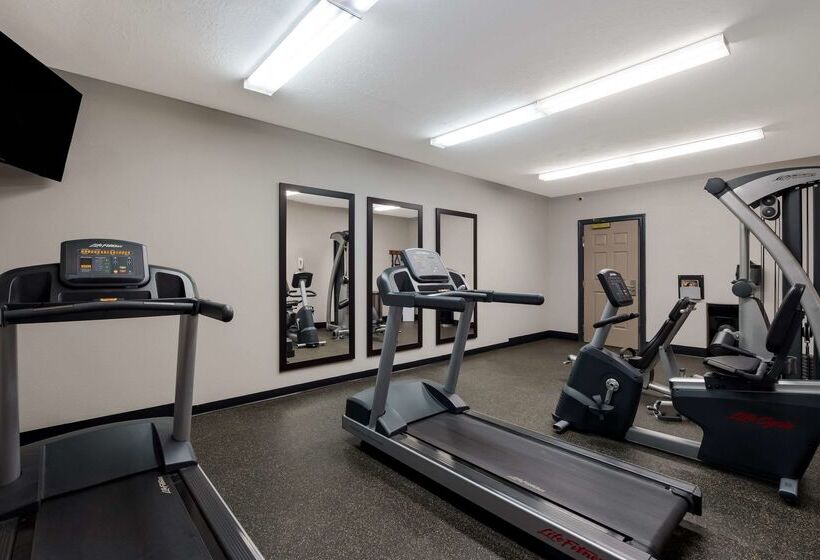 בית מלון כפרי Country Inn & Suites By Radisson, Augusta At I20, Ga