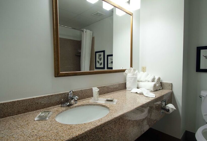 בית מלון כפרי Country Inn & Suites By Radisson, Augusta At I20, Ga