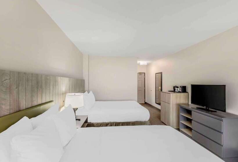 هتل Country Inn & Suites By Radisson Elk Grove Village Itasca