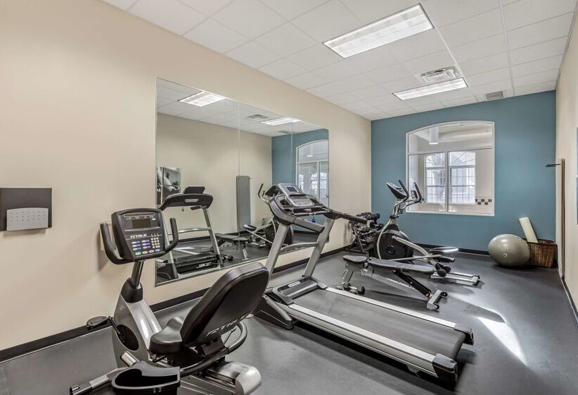 هتل Country Inn & Suites By Radisson Elk Grove Village Itasca