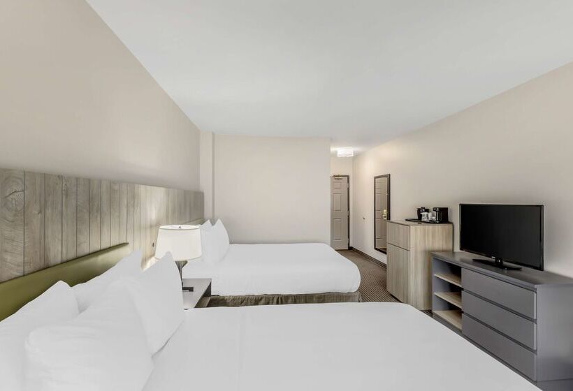 هتل Country Inn & Suites By Radisson Elk Grove Village Itasca