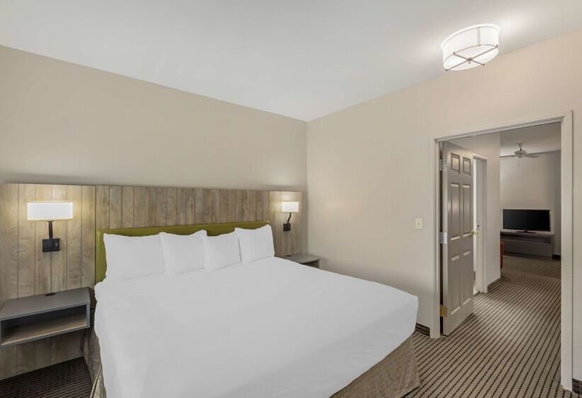 هتل Country Inn & Suites By Radisson Elk Grove Village Itasca