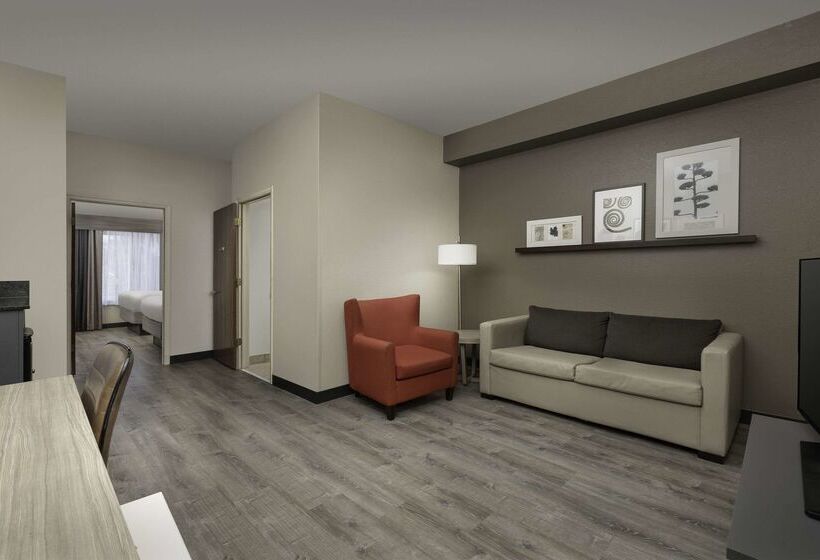 בית מלון כפרי Country Inn & Suites By Radisson, Gainesville, Fl