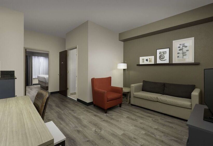 בית מלון כפרי Country Inn & Suites By Radisson, Gainesville, Fl