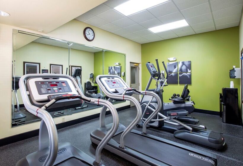 בית מלון כפרי Country Inn & Suites By Radisson, Gainesville, Fl