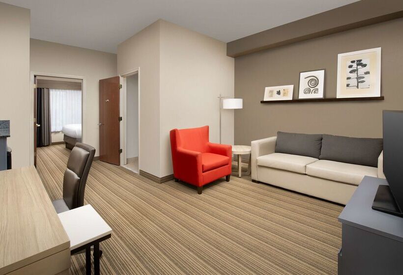בית מלון כפרי Country Inn & Suites By Radisson, Gainesville, Fl