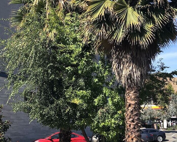 فندق Diablo Mountain Inn Walnut Creek