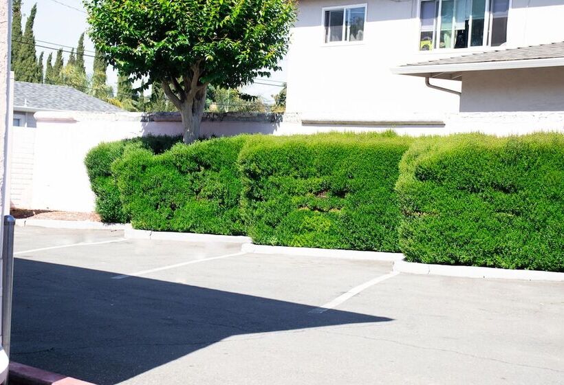 فندق Discovery Inn