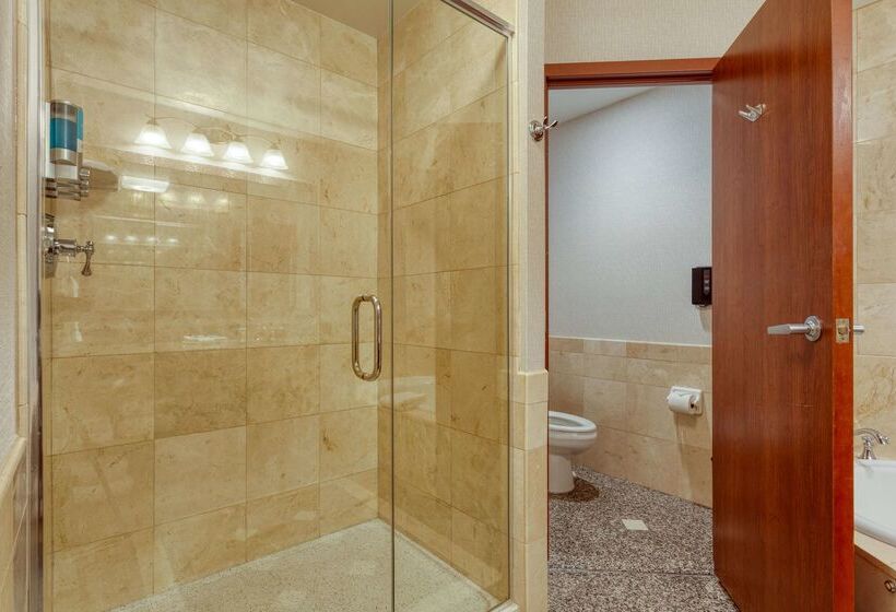 Drury Plaza Hotel St. Louis Chesterfield