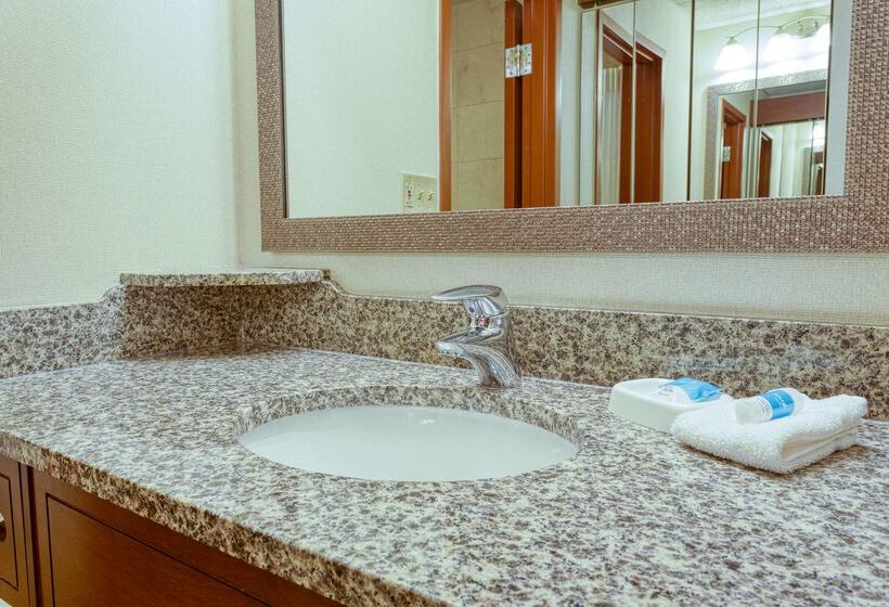 Drury Plaza Hotel St. Louis Chesterfield