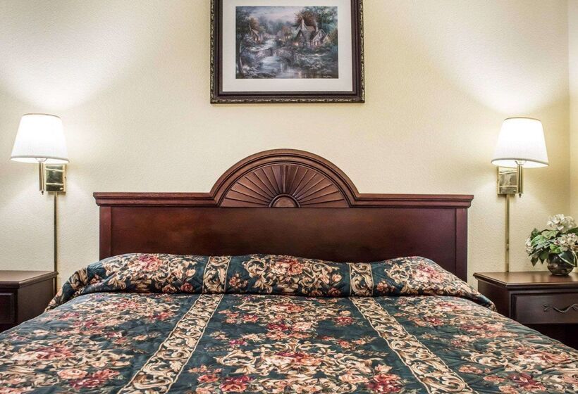 فندق Econo Lodge Inn & Suites Airport