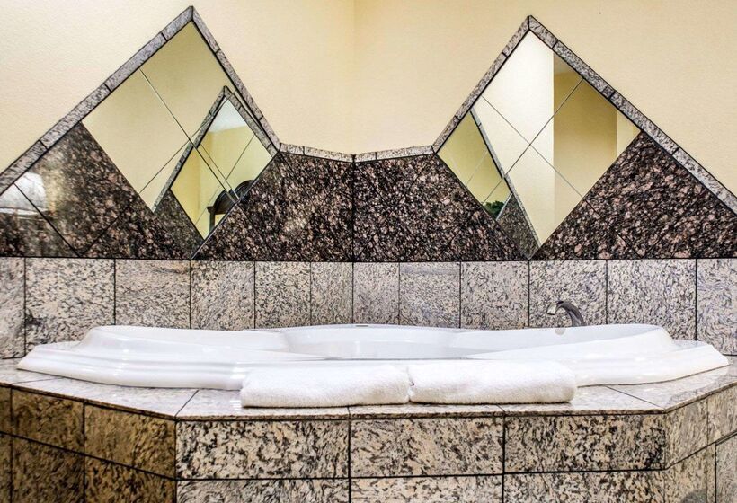 فندق Econo Lodge Inn & Suites Airport