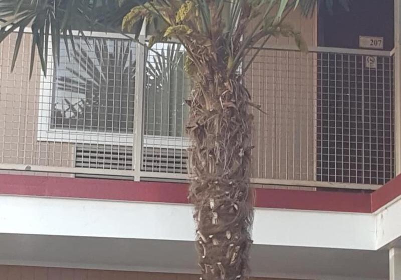 בית מלון כפרי Express Inn & Suites Eugene