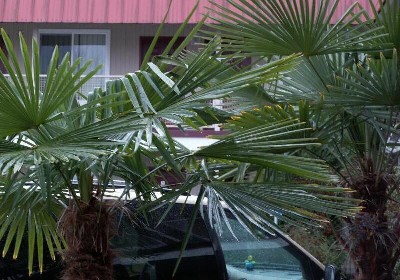 בית מלון כפרי Express Inn & Suites Eugene