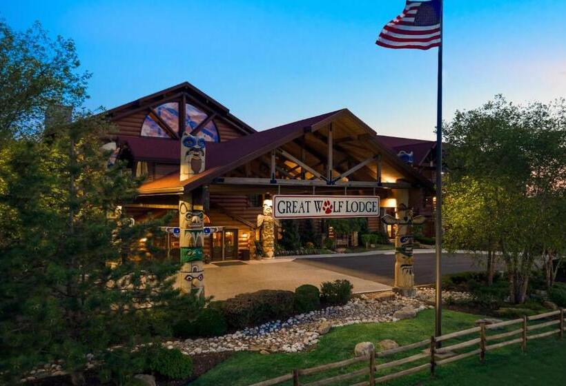 فندق Great Wolf Lodge Kansas City