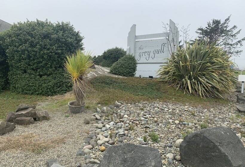 فندق Grey Gull
