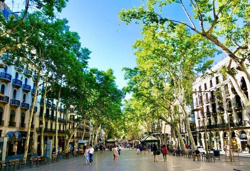 בית מלון כפרי H