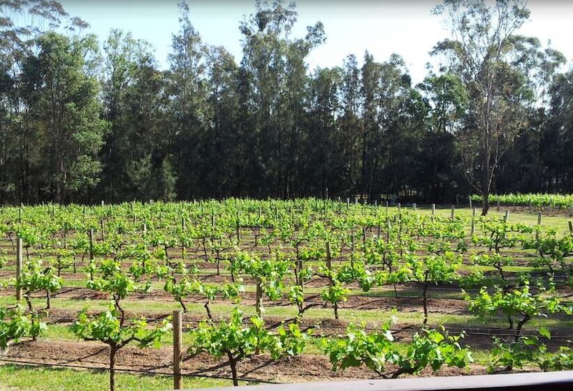 هتل Hermitage Lodge