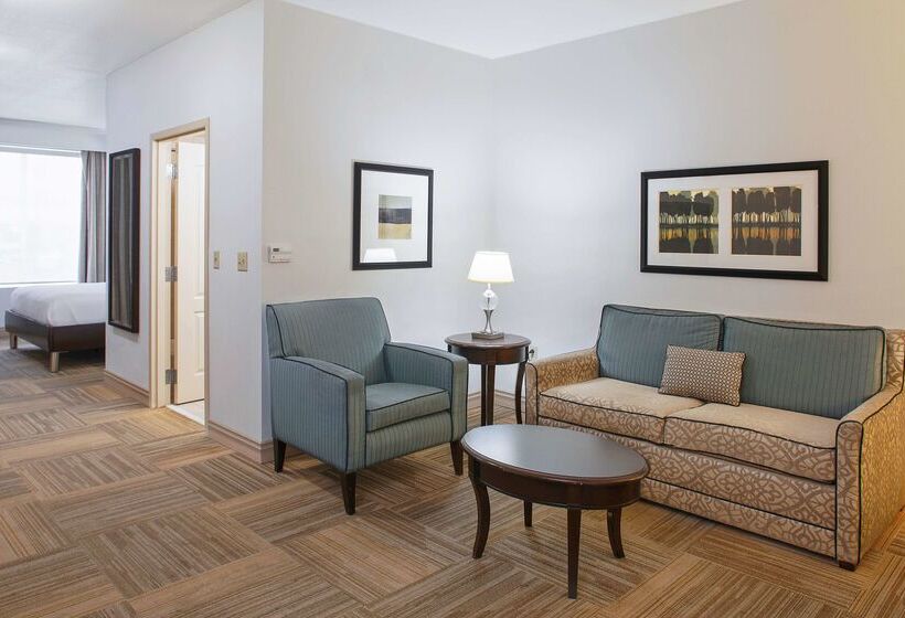 فندق Hilton Garden Inn Jonesboro