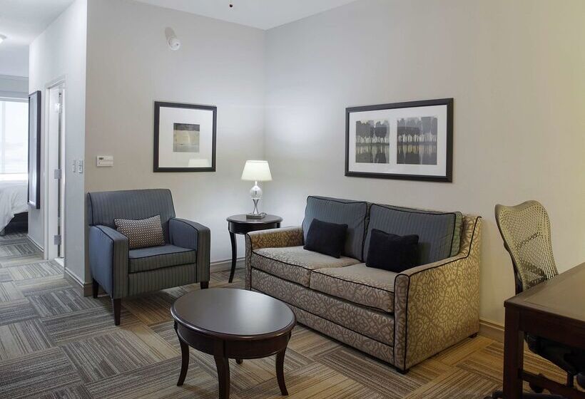فندق Hilton Garden Inn Jonesboro