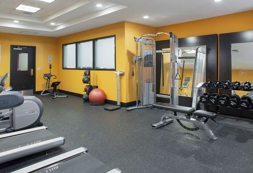 فندق Hilton Garden Inn Jonesboro