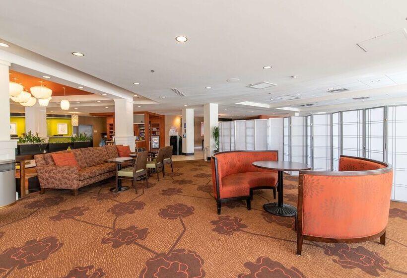 בית מלון כפרי Hilton Garden Inn Ogden Ut