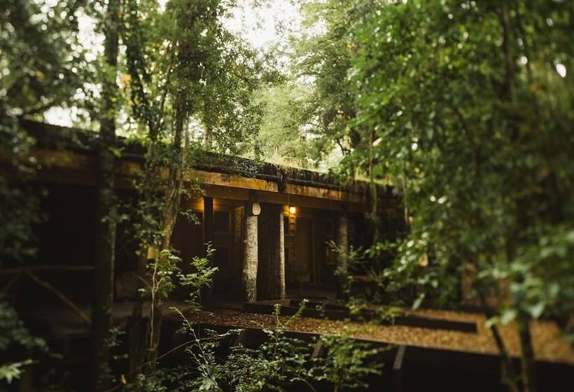 호텔 Huilo Huilo Nawelpi Lodge