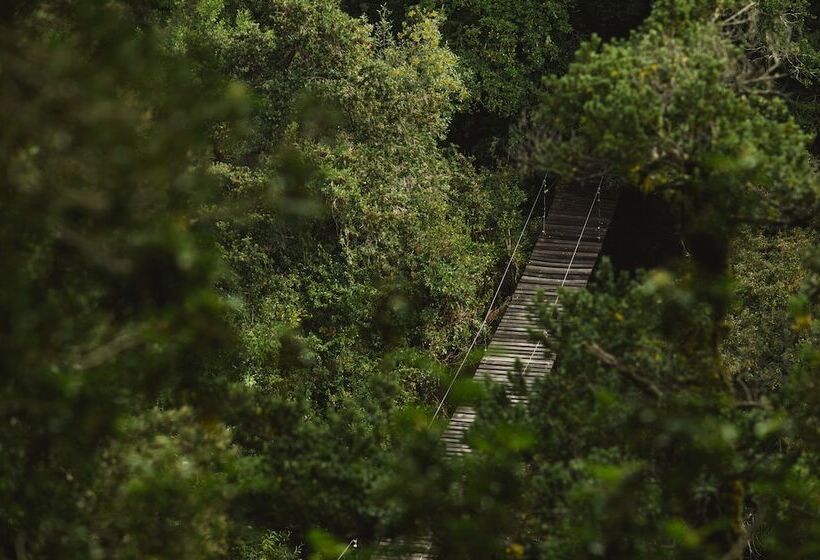 호텔 Huilo Huilo Nawelpi Lodge