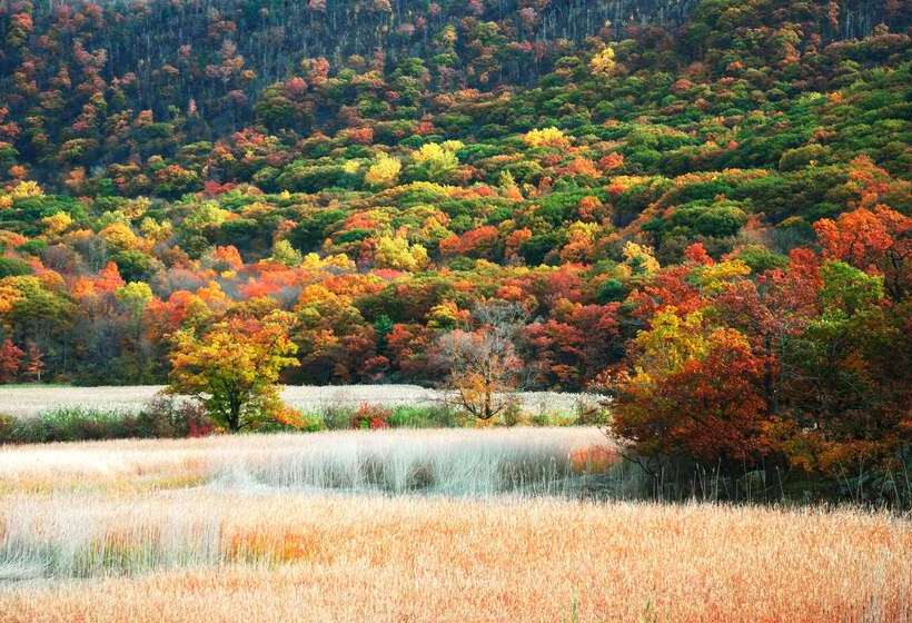 فندق Hyatt House Fishkill Poughkeepsie