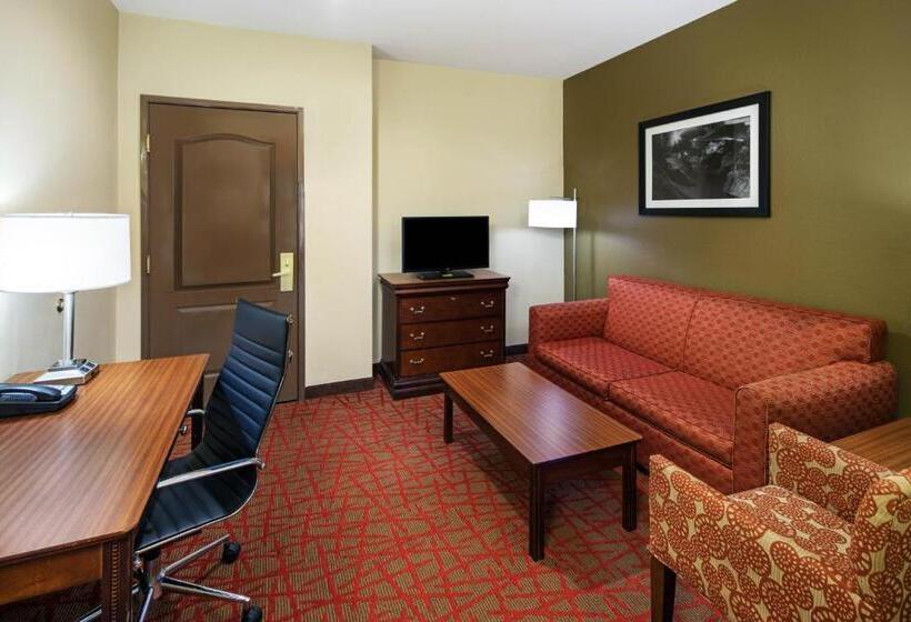 هتل La Quinta By Wyndham Oxford   Anniston